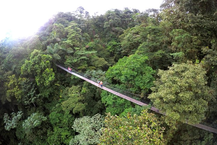 Hanging Bridges